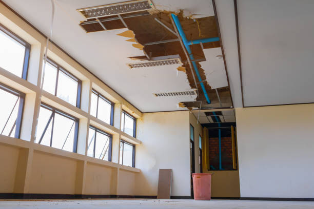 Best Flooded house restoration  in Runge, TX