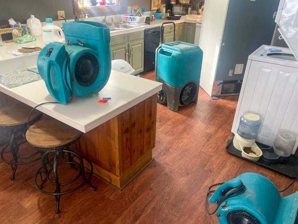Water damage restoration mold remediation in Runge, TX