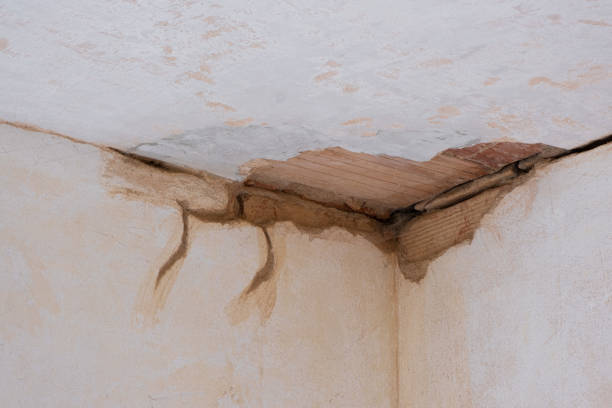 Water damage restoration insurance claims in Runge, TX