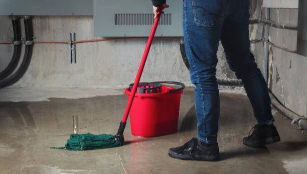 Best Mold removal after water damage  in Runge, TX