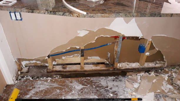 Best Professional water damage repair  in Runge, TX