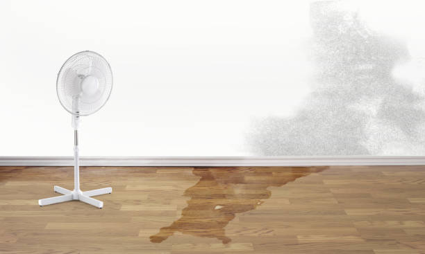 Best 24-hour water damage restoration  in Runge, TX