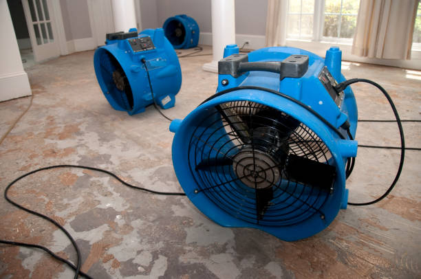 Carpet water damage restoration in Runge, TX