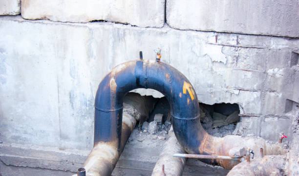 Best Mold removal after water damage  in Runge, TX