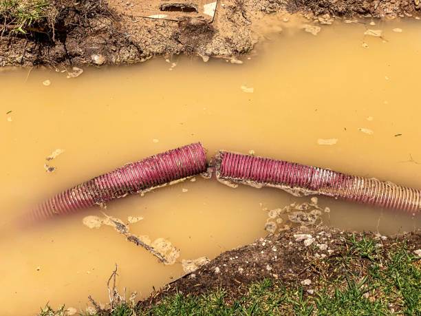 Best Emergency water damage restoration  in Runge, TX